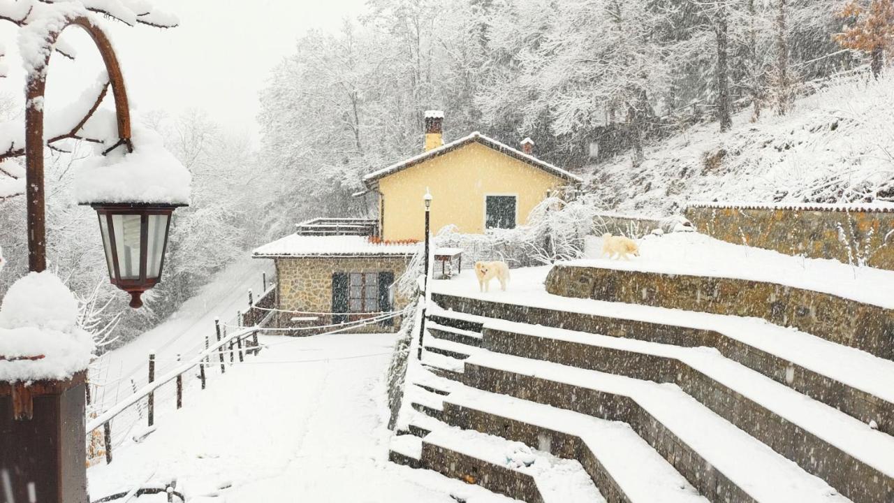 Agriturismo La Casa del Sarto Pontremoli Habitación foto